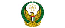 dubai government